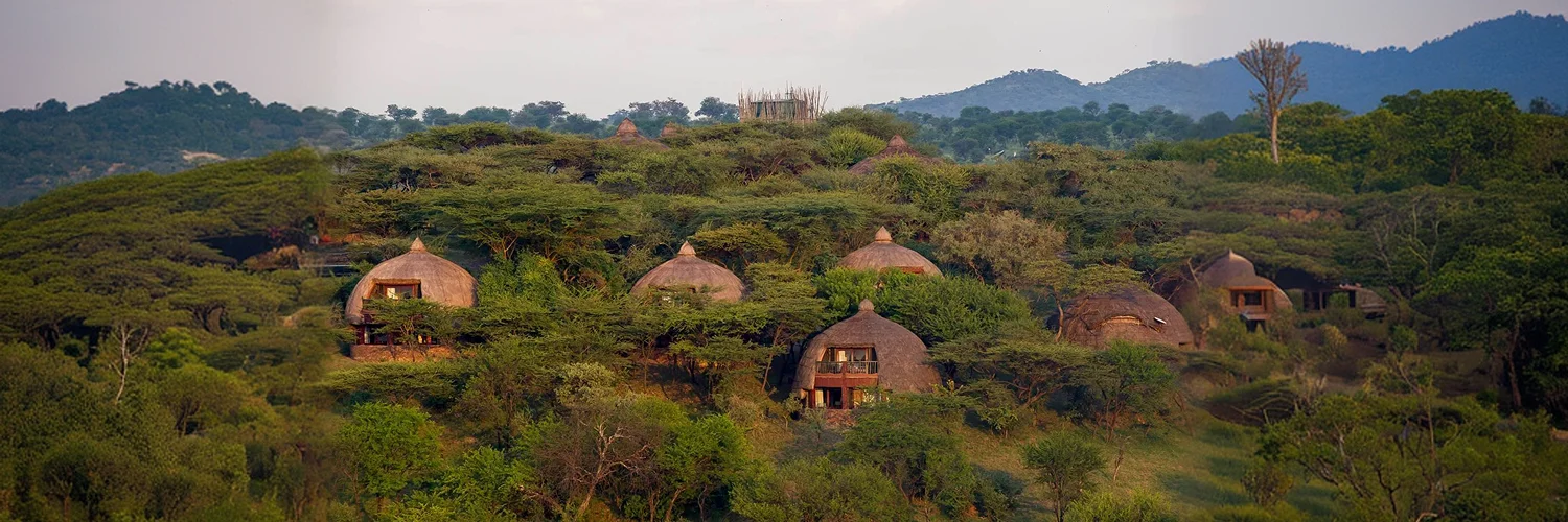 serenaserengeti-137 1.webp